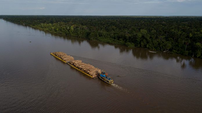 Desmatamento na Amazônia cai 31% de janeiro a maio de 2023, aponta Inpe